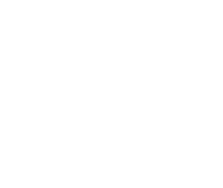PYLI Logo